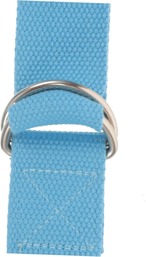2pcs Yoga Stretching Belt Yoga Strap Stretch Bands Gym Supplies Yoga Band Yoga Supply Stretching Strap