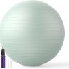 Extra Thick Exercise Ball Yoga Ball for Workout Pregnancy Stability,Anti-Burst and Slip Resistant Swiss Ball with Pump for Yoga, Pilates, Fitness,Birthing,Physical Therapy (Copy)